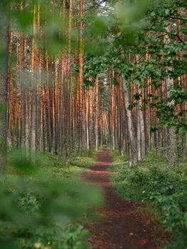 Illustration secondaire de À propos