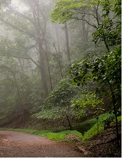 Illustration secondaire de Psychothérapie